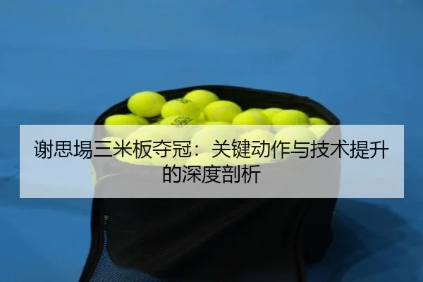 xie-si-yi-san-mi-ban-duo-guan-guan-jian-dong-zuo-yu-ji-shu-ti-sheng-de-shen-du-pou-xi-2-765.jpg