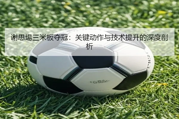 谢思埸三米板夺冠：关键动作与技术提升的深度剖析